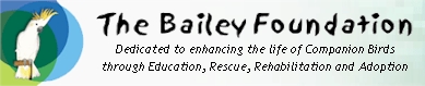 www.Bailey-Foundation.org